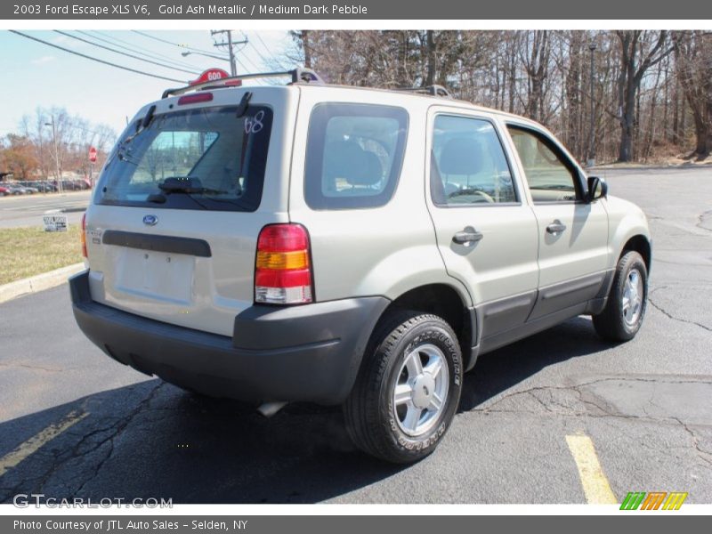 Gold Ash Metallic / Medium Dark Pebble 2003 Ford Escape XLS V6