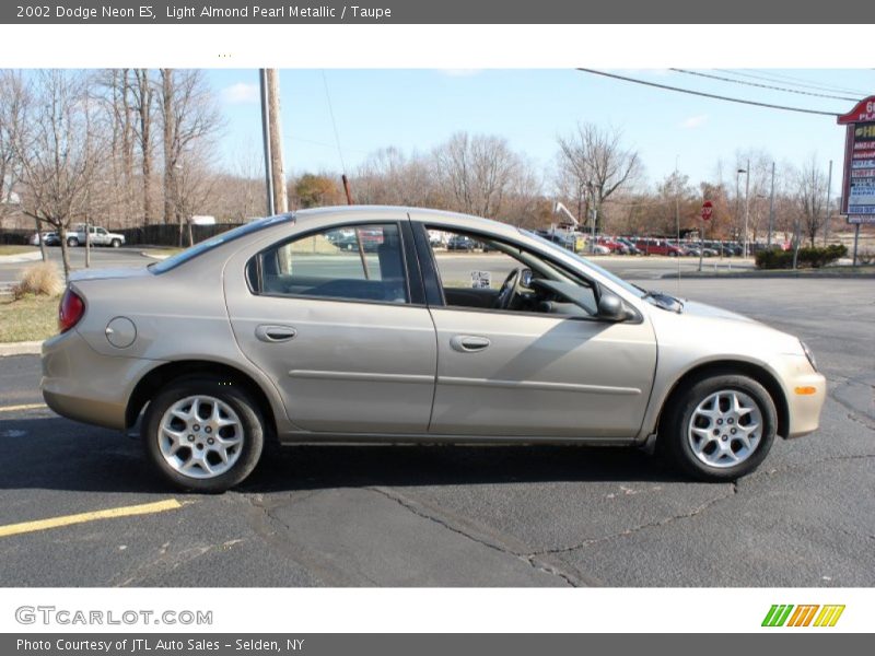 Light Almond Pearl Metallic / Taupe 2002 Dodge Neon ES