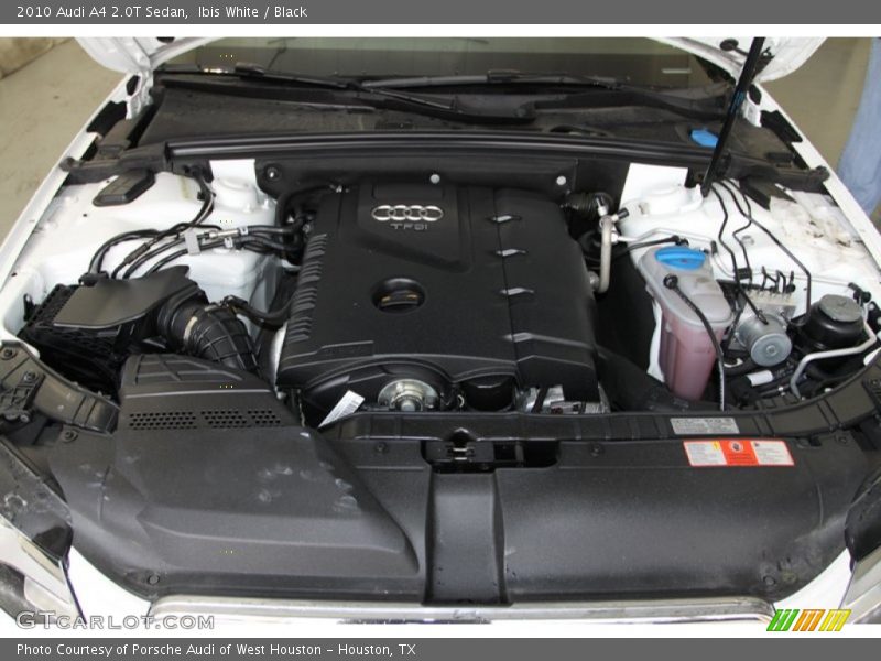 Ibis White / Black 2010 Audi A4 2.0T Sedan