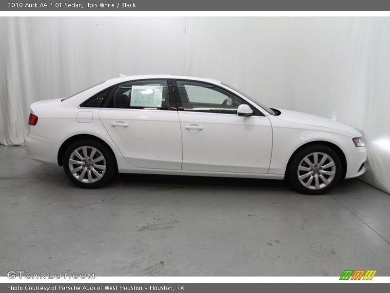 Ibis White / Black 2010 Audi A4 2.0T Sedan