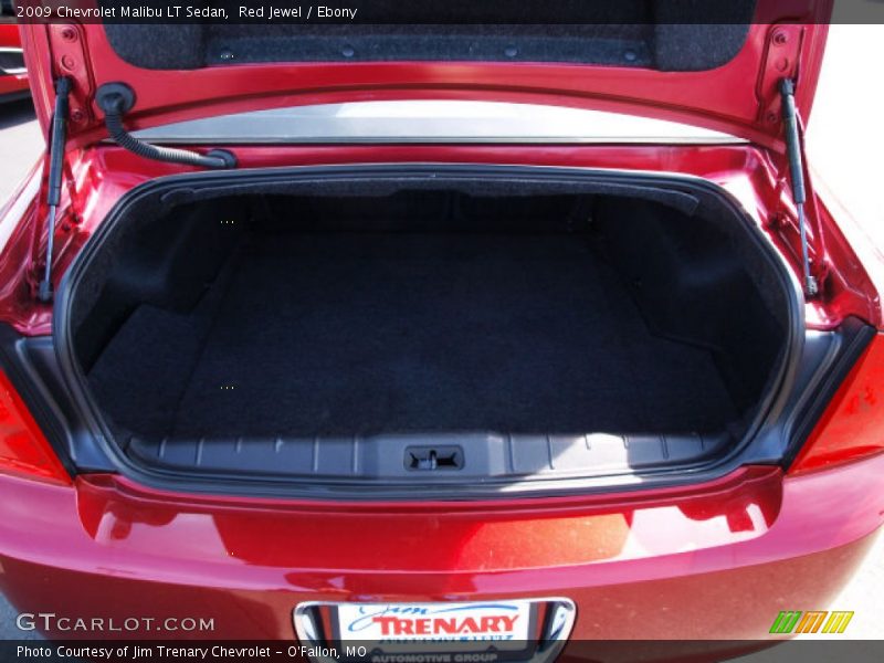 Red Jewel / Ebony 2009 Chevrolet Malibu LT Sedan