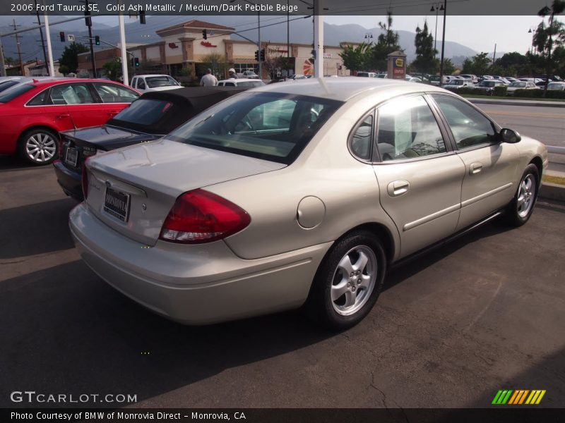 Gold Ash Metallic / Medium/Dark Pebble Beige 2006 Ford Taurus SE