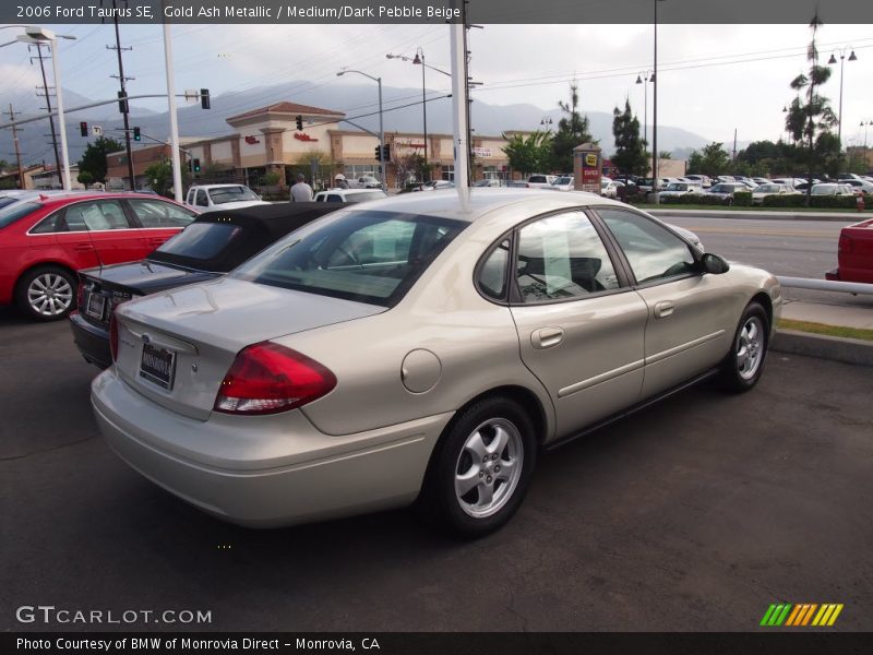 Gold Ash Metallic / Medium/Dark Pebble Beige 2006 Ford Taurus SE