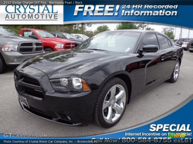 Blackberry Pearl / Black 2012 Dodge Charger SXT Plus