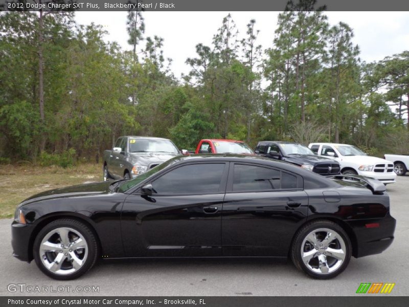 Blackberry Pearl / Black 2012 Dodge Charger SXT Plus