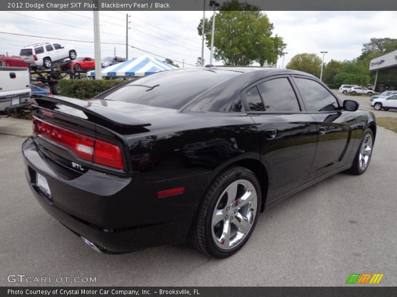 Blackberry Pearl / Black 2012 Dodge Charger SXT Plus
