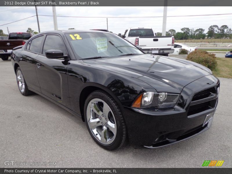 Blackberry Pearl / Black 2012 Dodge Charger SXT Plus