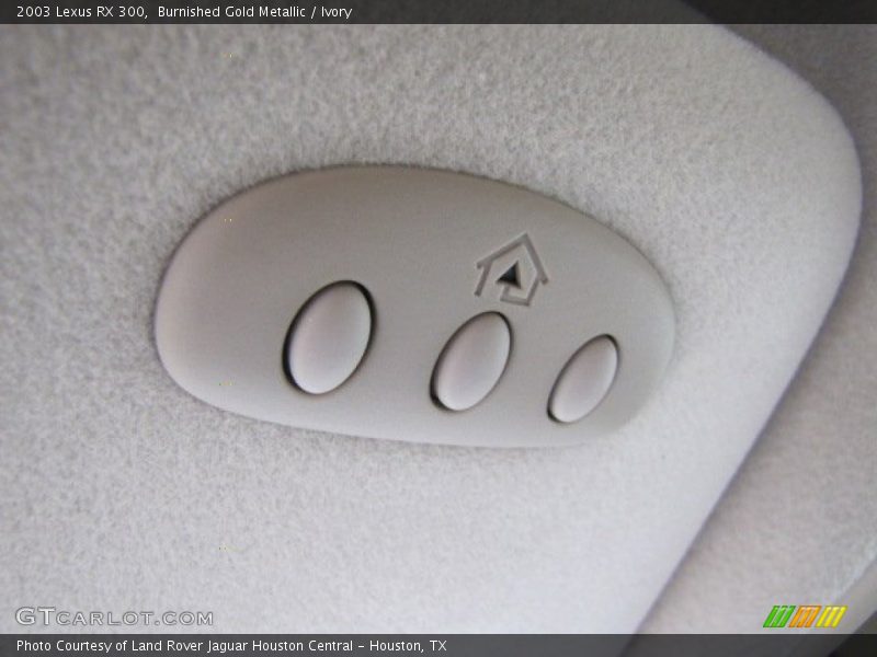 Burnished Gold Metallic / Ivory 2003 Lexus RX 300