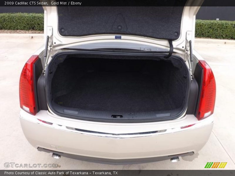 Gold Mist / Ebony 2009 Cadillac CTS Sedan