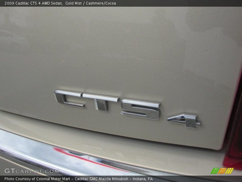 Gold Mist / Cashmere/Cocoa 2009 Cadillac CTS 4 AWD Sedan