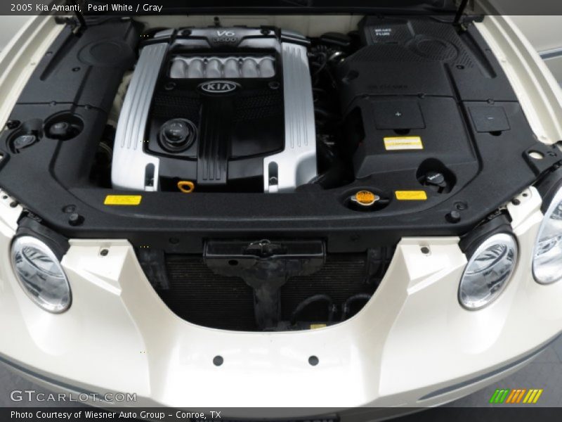 Pearl White / Gray 2005 Kia Amanti