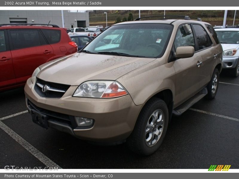 Mesa Beige Metallic / Saddle 2002 Acura MDX Touring