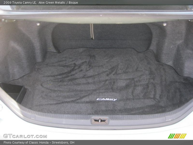 Aloe Green Metallic / Bisque 2009 Toyota Camry LE