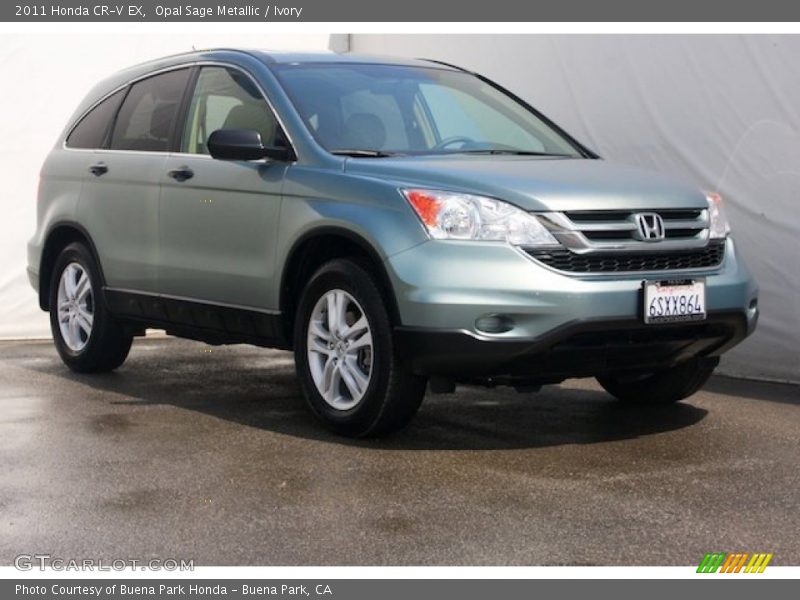 Opal Sage Metallic / Ivory 2011 Honda CR-V EX