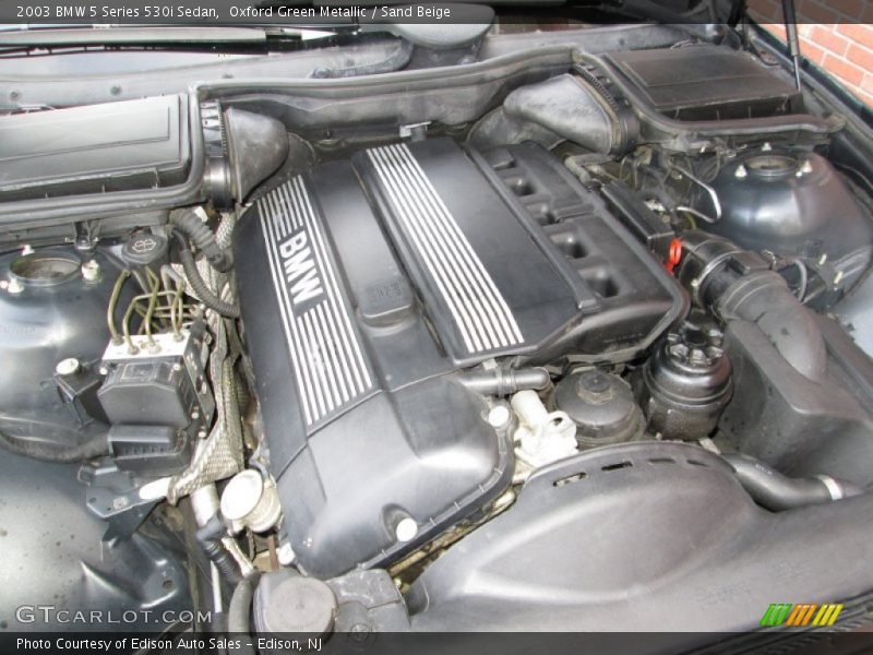 Oxford Green Metallic / Sand Beige 2003 BMW 5 Series 530i Sedan