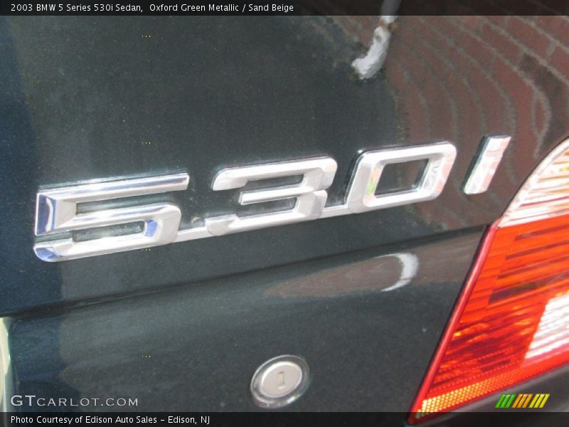 Oxford Green Metallic / Sand Beige 2003 BMW 5 Series 530i Sedan