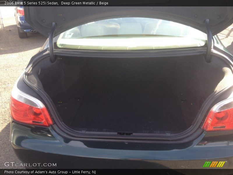 Deep Green Metallic / Beige 2006 BMW 5 Series 525i Sedan