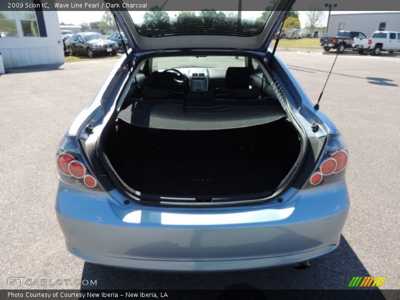 Wave Line Pearl / Dark Charcoal 2009 Scion tC