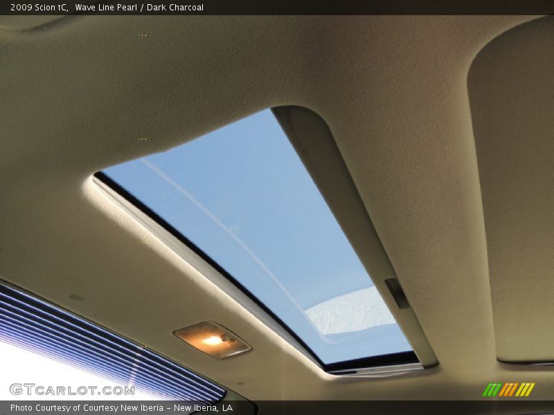 Wave Line Pearl / Dark Charcoal 2009 Scion tC