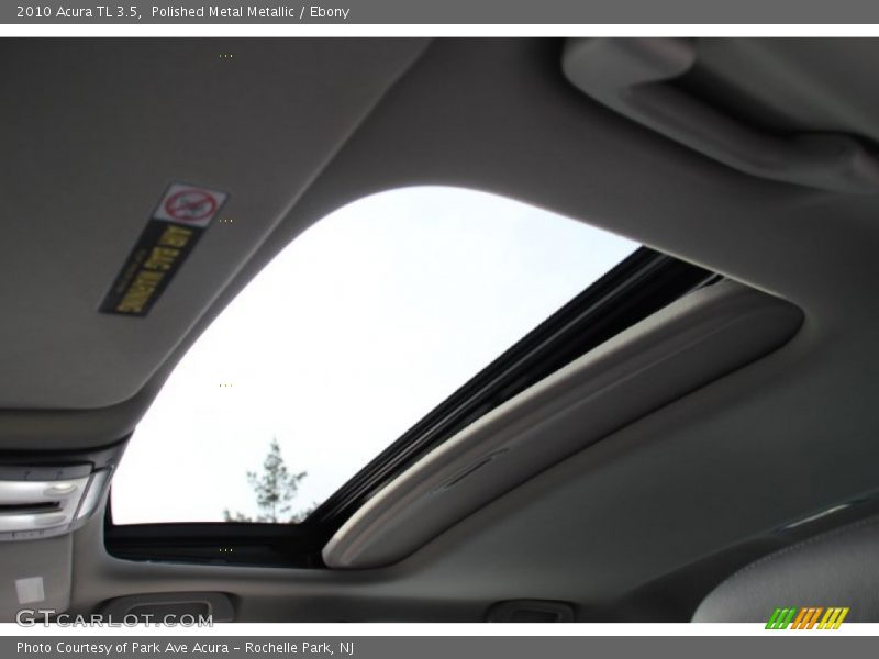 Polished Metal Metallic / Ebony 2010 Acura TL 3.5