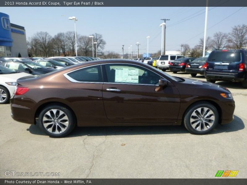  2013 Accord EX Coupe Tiger Eye Pearl
