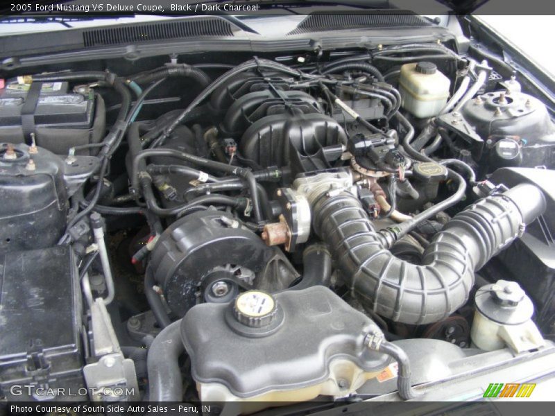 Black / Dark Charcoal 2005 Ford Mustang V6 Deluxe Coupe