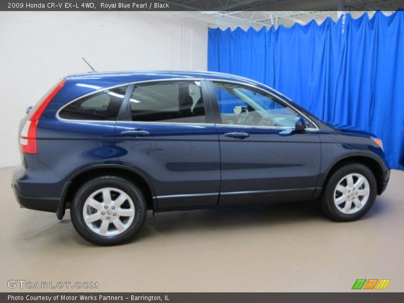 Royal Blue Pearl / Black 2009 Honda CR-V EX-L 4WD
