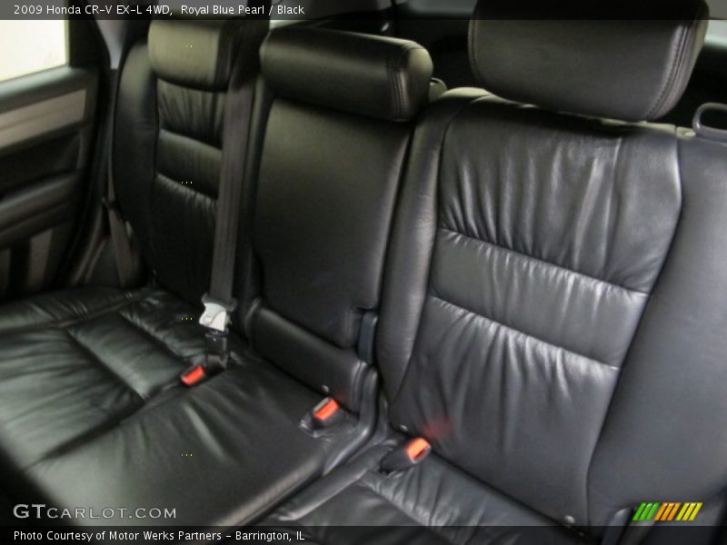 Royal Blue Pearl / Black 2009 Honda CR-V EX-L 4WD