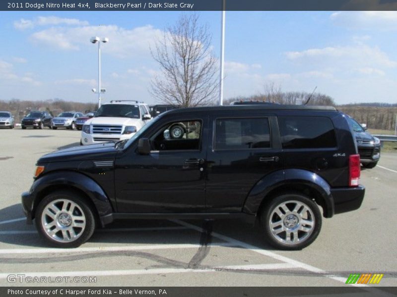 Blackberry Pearl / Dark Slate Gray 2011 Dodge Nitro Heat 4x4