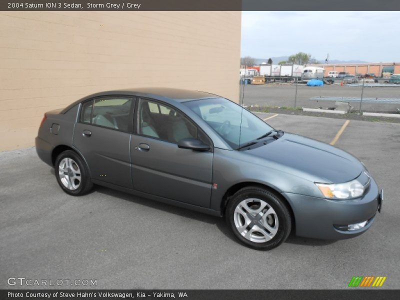 Storm Grey / Grey 2004 Saturn ION 3 Sedan