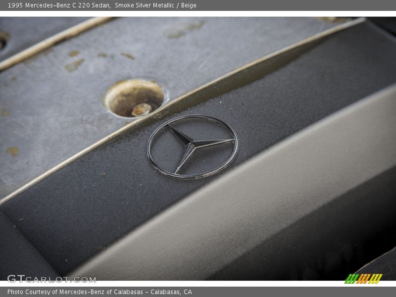 Smoke Silver Metallic / Beige 1995 Mercedes-Benz C 220 Sedan