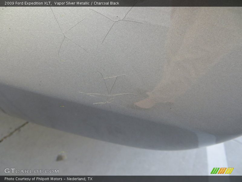 Vapor Silver Metallic / Charcoal Black 2009 Ford Expedition XLT