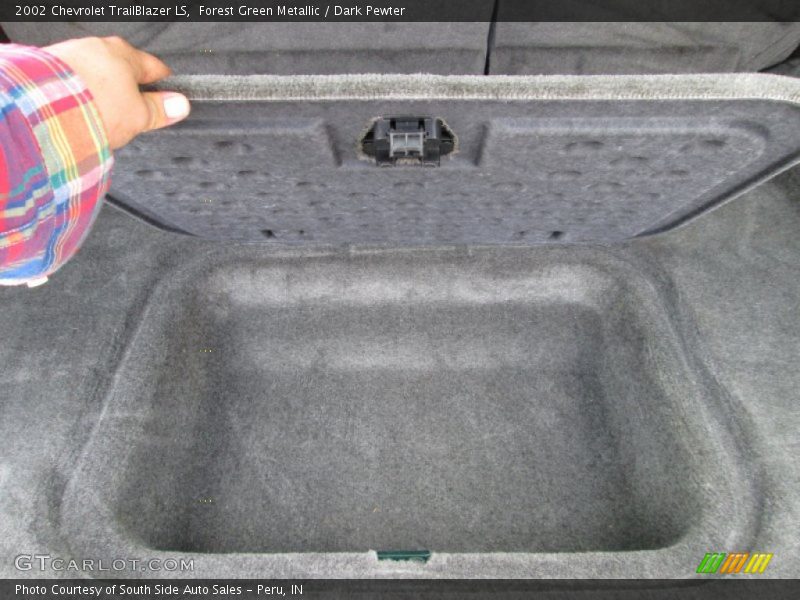Forest Green Metallic / Dark Pewter 2002 Chevrolet TrailBlazer LS