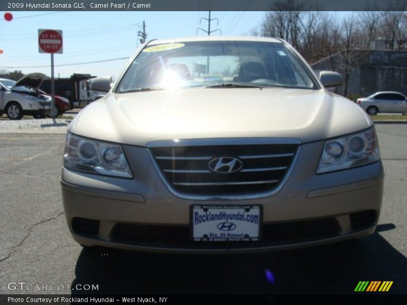 Camel Pearl / Camel 2009 Hyundai Sonata GLS