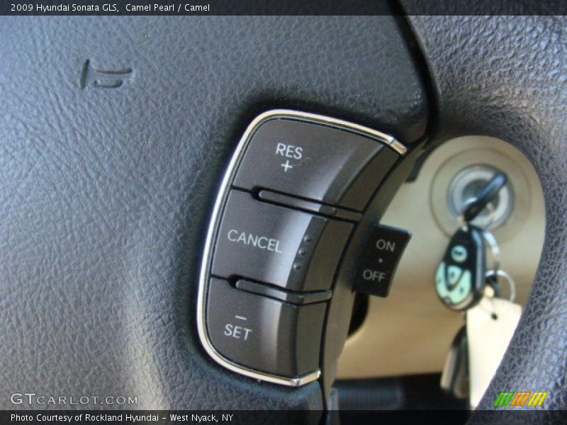 Camel Pearl / Camel 2009 Hyundai Sonata GLS