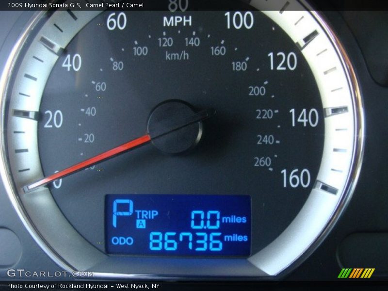 Camel Pearl / Camel 2009 Hyundai Sonata GLS