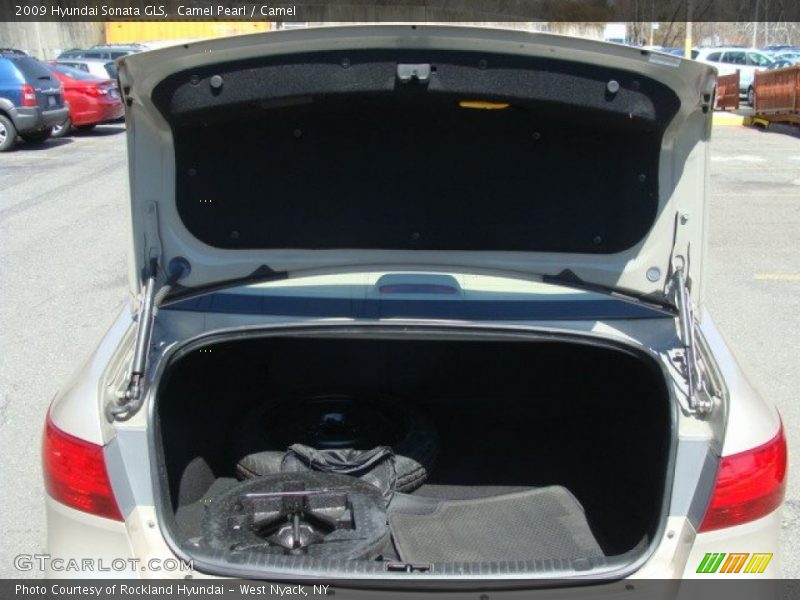 Camel Pearl / Camel 2009 Hyundai Sonata GLS