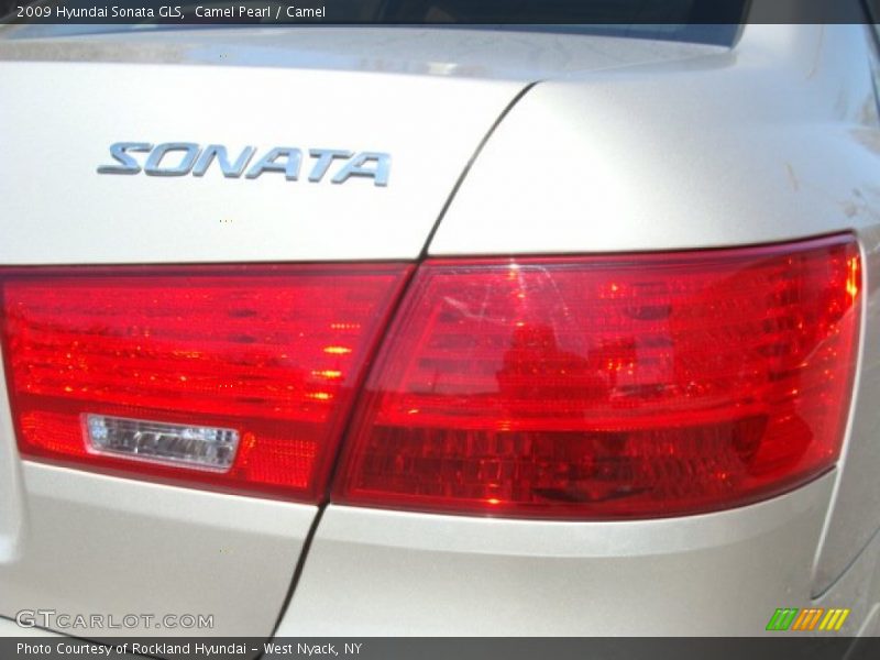 Camel Pearl / Camel 2009 Hyundai Sonata GLS