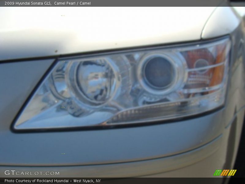 Camel Pearl / Camel 2009 Hyundai Sonata GLS