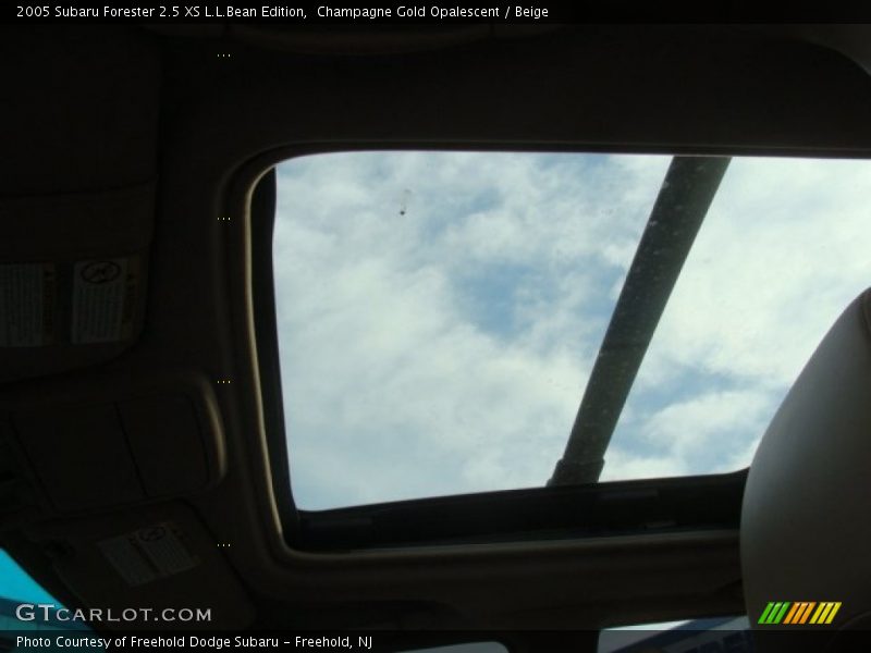 Champagne Gold Opalescent / Beige 2005 Subaru Forester 2.5 XS L.L.Bean Edition