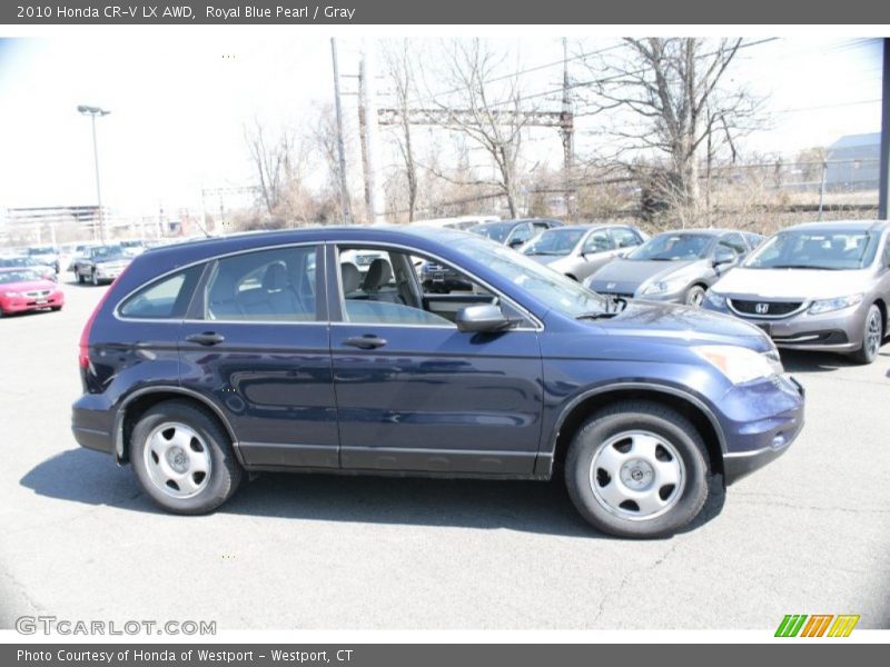Royal Blue Pearl / Gray 2010 Honda CR-V LX AWD