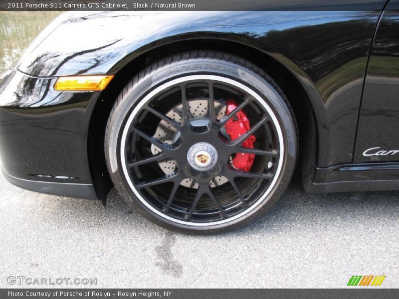  2011 911 Carrera GTS Cabriolet Wheel