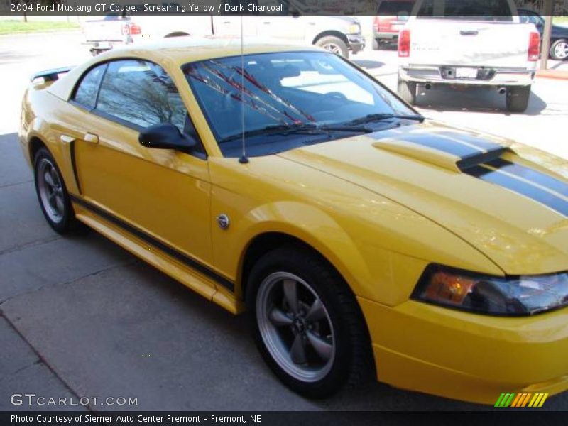 Screaming Yellow / Dark Charcoal 2004 Ford Mustang GT Coupe
