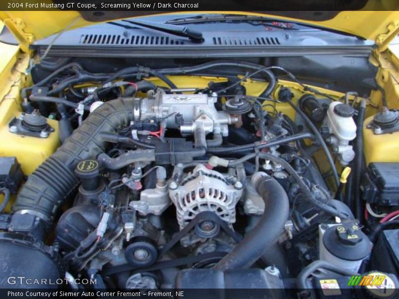 Screaming Yellow / Dark Charcoal 2004 Ford Mustang GT Coupe