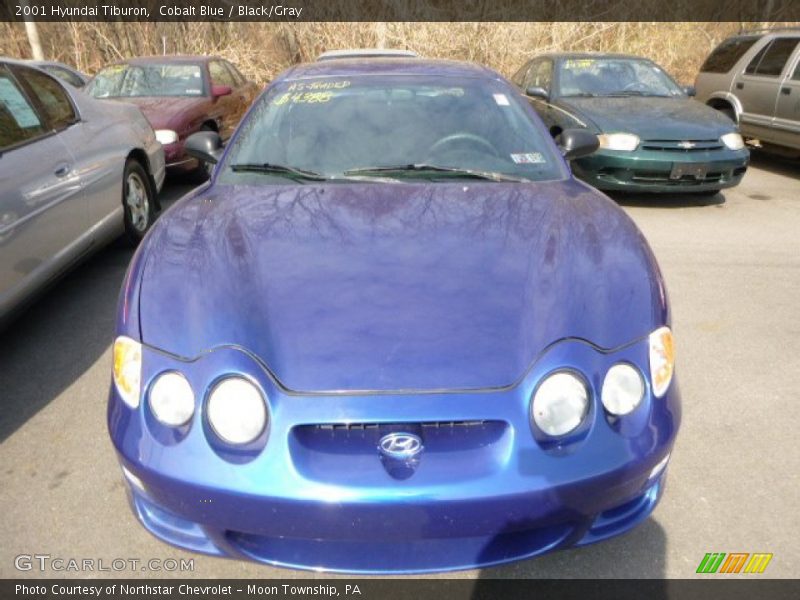 Cobalt Blue / Black/Gray 2001 Hyundai Tiburon