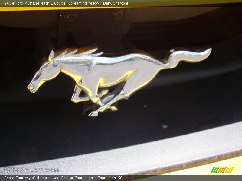 Screaming Yellow / Dark Charcoal 2004 Ford Mustang Mach 1 Coupe