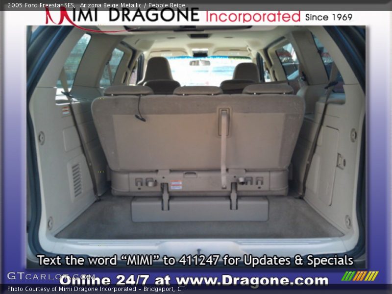 Arizona Beige Metallic / Pebble Beige 2005 Ford Freestar SES