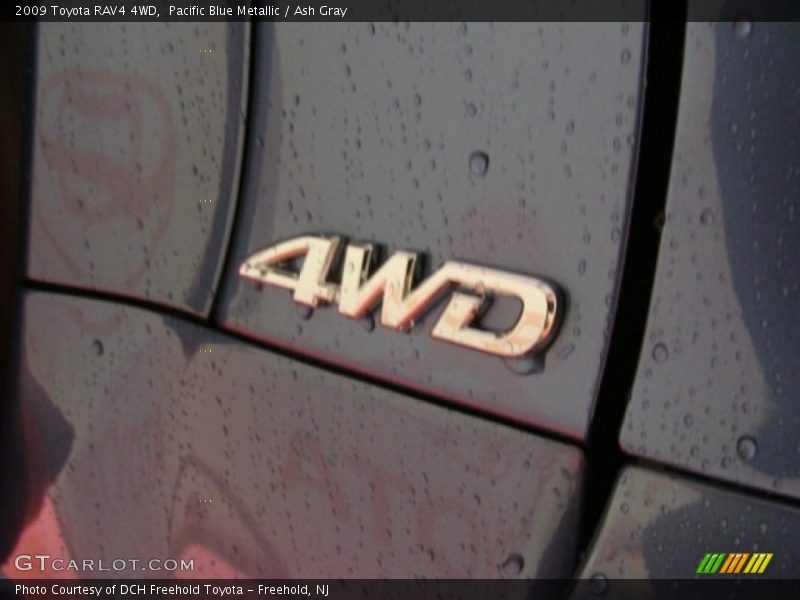 Pacific Blue Metallic / Ash Gray 2009 Toyota RAV4 4WD