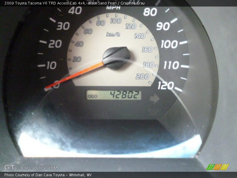 Black Sand Pearl / Graphite Gray 2009 Toyota Tacoma V6 TRD Access Cab 4x4