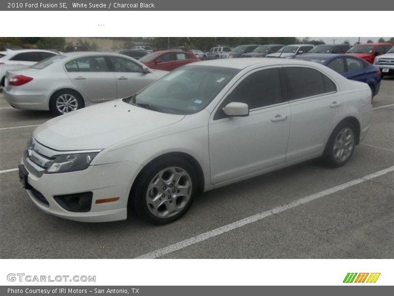White Suede / Charcoal Black 2010 Ford Fusion SE